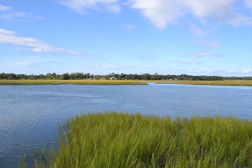 Cherry Grove Inlet